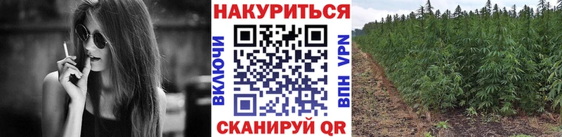Конопля SATIVA & INDICA  Великий Устюг 